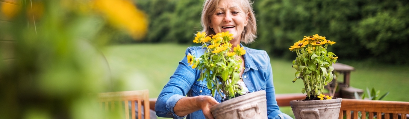 Senior woman re-potting yellow flowers outside