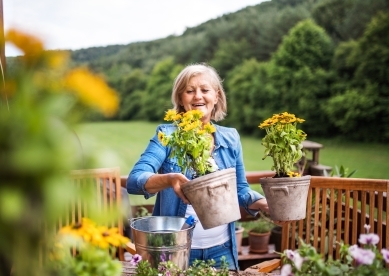 Senior woman re-potting yellow flowers outside